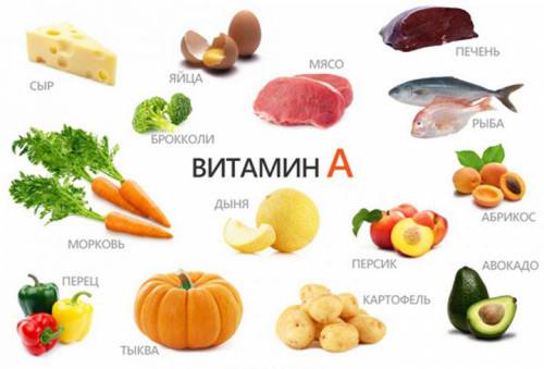 Продукты, богатые витамином A