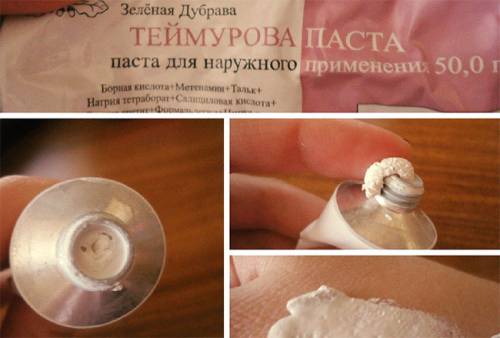 Паста Теймурова